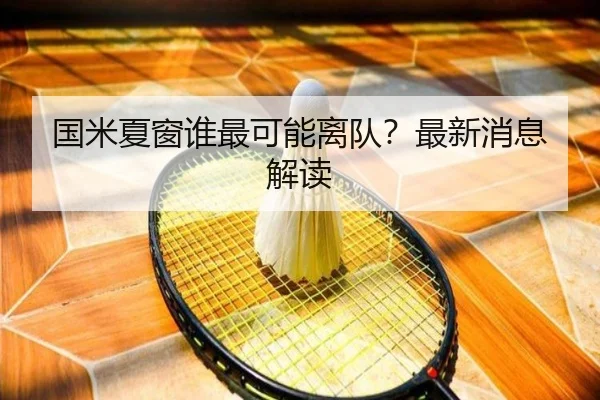 国米夏窗谁最可能离队？最新消息解读（xingkong.com）